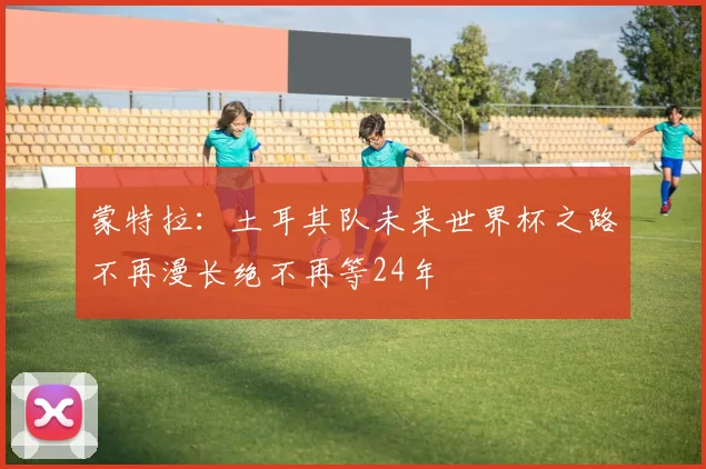 蒙特拉：土耳其队未来世界杯之路不再漫长绝不再等24年