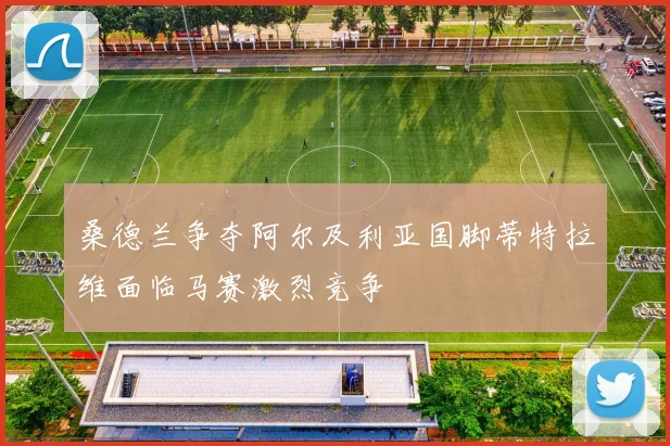 桑德兰争夺阿尔及利亚国脚蒂特拉维面临马赛激烈竞争
